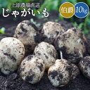 【ふるさと納税】じゃがいも 伯爵 10kg いも おいも 芋 イモ ジャガイモ ポテト はくしゃく 予約 オンライン 申請 ふるさと納税 北海道 中標津 野菜 根菜 産地直送 新鮮 採れたて 粉ふきいも じゃがバター フライドポテト 10キロ【66003】