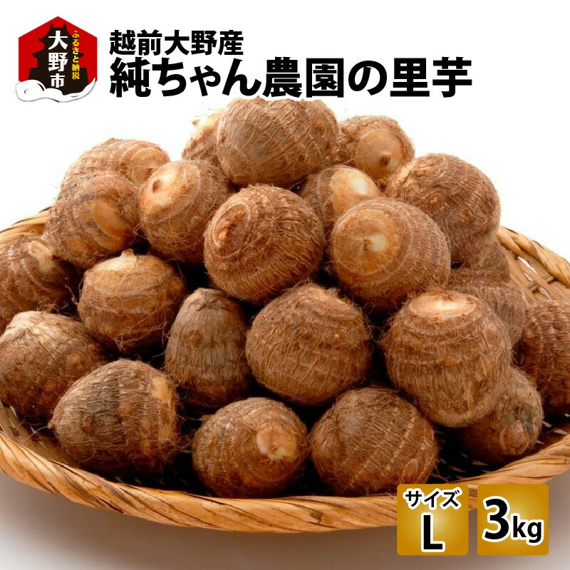 【ふるさと納税】【先行予約】越前大野産 「純ちゃん農園の里芋 3kg」サイズL寸【【10月下旬より順次発送】[A-074002] | 和食 根菜 煮物 送料無料