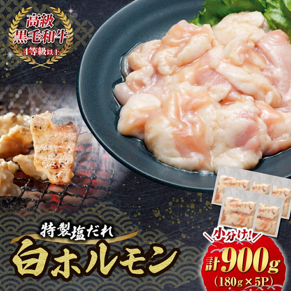 【ふるさと納税】【自社農場和牛】黒毛和牛 特製塩だれ白ホルモン 900g（国産 黒毛和牛 宮崎牛 牛肉 塩だれ ホルモン 白ホルモン 冷凍 宮崎県 小林市）