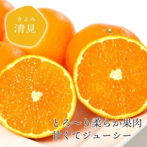 【ご家庭用】清見 2kg 愛媛県 八幡浜市 西宇和地区 柔らかい果肉【C25-377】【配送不可地域：離島】【1716878】