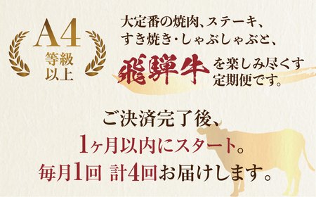 《定期便》 飛騨牛 4回 お届け 赤身 / 霜降り食べ比べ 牛肉 ( 焼肉 / すき焼き / ステーキ / しゃぶしゃぶ ) 肉 霜降り肉 赤身肉 セット 食べ比べ 和牛 国産牛 100000円 [S