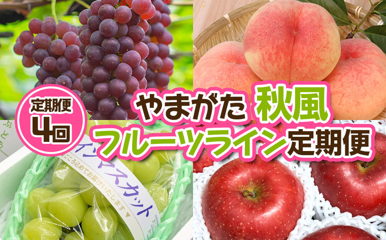 
            【定期便4回】やまがた 秋風フルーツライン定期便【令和7年産先行予約】FU23-878 くだもの 果物 フルーツ 山形 山形県 山形市 2025年産
          