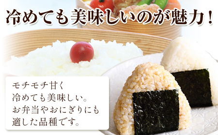 米 こめ コメ 備前乙女米 玄米 4kg 石原果樹園《30日以内に出荷予定（土日祝除く）》岡山県 浅口市 ご飯 お米 国産 岡山県産 送料無料