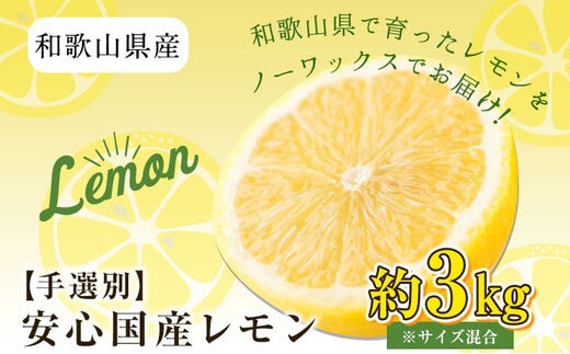 
										
										和歌山県産の安心国産レモン約3kg(サイズ混合またはL・2Lサイズおまかせ) 厳選館 《2024年11月上旬-12月中旬頃出荷》 和歌山県 日高町 レモン---wsh_genkle11_ae11_22_13000_3kg---
									