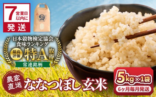 
                  ◆ふるさとチョイス限定◆【6回定期便】令和7年産　ななつぼし 玄米 5kg×1袋_05851
                