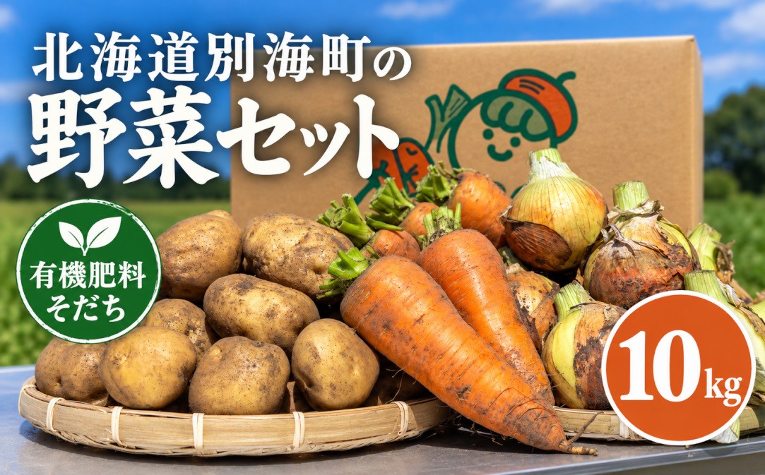 
                  北海道 別海町産 野菜 詰め合わせ 10kg セット 10kgじゃがいも にんじん たまねぎ かぼちゃなし 農薬・化学肥料不使用 有機肥料 育ち （ ふるさと納税 野菜 詰め合わせ ふるさと納税 野菜セット 訳あり やさい 農薬不使用 北海道 別海町 男爵 メークイン はるか きたあかり ワセシロ　仕組み キャンペーン 限度額 ランキング やり方 シミュレーション チョイス チョイスマイル ）
                
