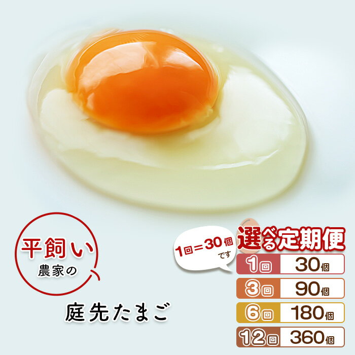 【ふるさと納税】こだわり卵 卵 たまご 玉子 タマゴ 鶏卵 平飼い 30個 まとめ買い 卵かけご飯 オムレツ 朝食 料理 人気 美味しい 贅沢 平飼い農家の庭先たまご 選べる 定期便 1か月 3か月 6か月 12か月 連続 月に1回