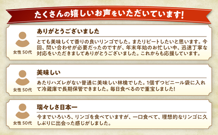 青森県産りんご サンふじ 約5kg 12月下旬~ りんご