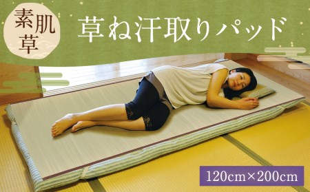 素肌草 草ね 汗取りパッド 120cm×200cm い草 自然素材 寝具