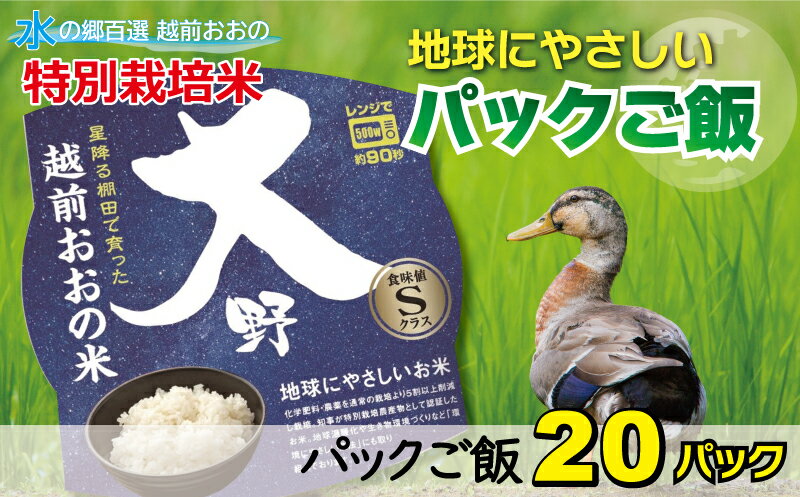 【ふるさと納税】【先行予約】地球にやさしいパックご飯 20食入り【白米】減農薬・減化学肥料 「特別栽培米」ー地球にやさしいお米ー[A-003014] コシヒカリ こしひかり 防災 備蓄 パックご飯 150g パックごはん パックライス 福井 大野市