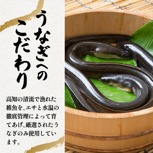 きざみうなぎ蒲焼 80g×6P 約480g【うなぎの蒲焼】