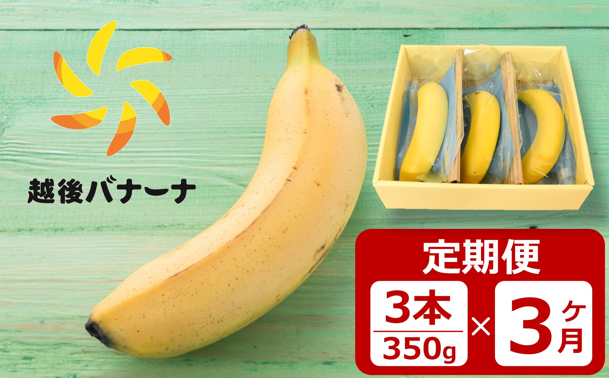 
                  【定期便・雪国新潟産バナナ】3本（350g）×3回 濃厚な甘さともっちり食感！安心安全の越後バナーナ[ZG430]
                
