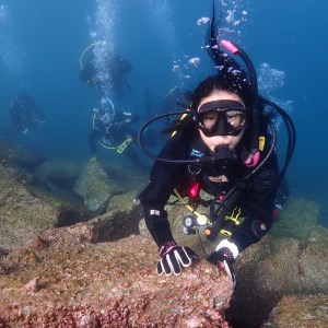 ファンダイビング チケット 大人1名1日 2ビーチ  伊豆半島 スキューバ ダイビング