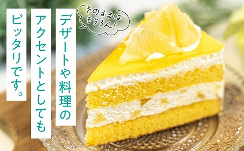 《2026年発送》【数量・期間限定】宮崎県産日向夏2.5kg　化粧箱入り_M359-005