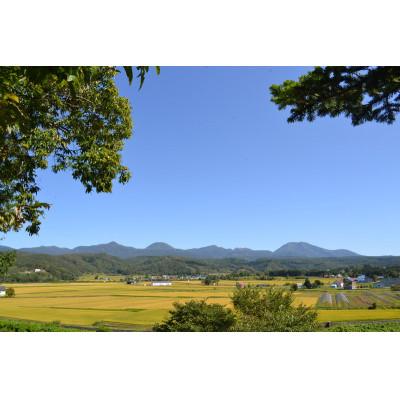 ふるさと納税 蘭越町 【先行受付_令和6年産】らんこし米 野口農場のななつぼし 2kg |  | 03