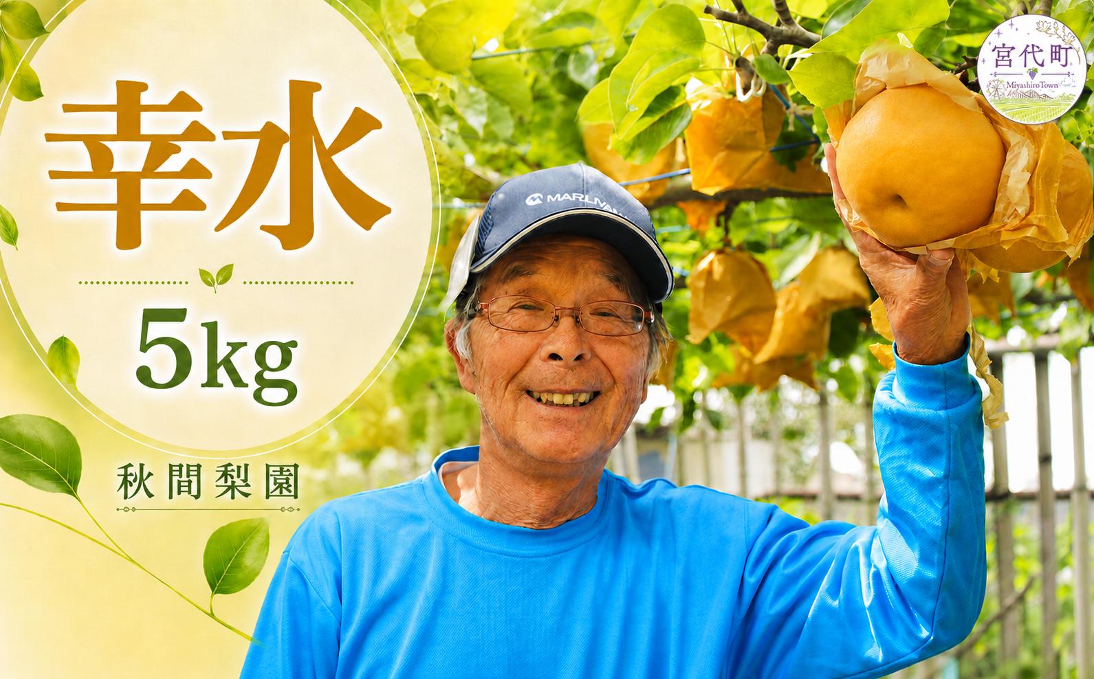 
                  【先行予約】秋間梨園の梨（幸水）5kg | 幸水 こうすい コウスイ 梨 なし ナシ 秀品 贈答 産地直送 農家直送 数量限定 期間限定 先行予約 ８月中旬発送 秋の味覚 和梨 旬の梨 果物 フルーツ 甘い ジューシー 5キロ 5キログラム 2026年発送 秋間梨園 埼玉県 宮代町
                