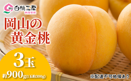 桃 先行予約 黄金桃 3玉 合計約900g（1玉約300g）もも モモ 果物 桃