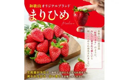 まりひめ イチゴ L～２L 12粒～15粒×2パック / 果物 甘い いちご 和歌山 ※2027年1月中旬～3月下旬頃配送予定【先行販売】※離島への配送不可【kgr500-250-2A】