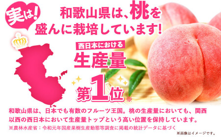 【先行予約】桃 赤秀 モモ 紀の川市産 手提げ箱 4-6玉入り 株式会社松源《6月下旬-8月中旬頃出荷》和歌山県 紀の川市 送料無料 フルーツ 果物 もも 最高ランク 贈答 プレゼント 赤秀ランク お