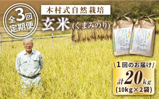 【 令和6年産 新米 】【3回定期便】【木村式自然栽培】 玄米 くまみのり 約20kg ＜ハマソウファーム＞ [CBR023]