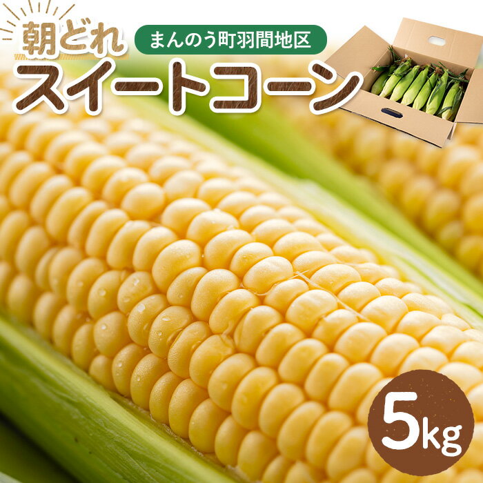 【ふるさと納税】＜期間限定・数量限定！2025年6月中旬以降順次発送予定＞スイートコーン (約5kg) とうもろこし トウモロコシ コーン 朝採り 朝採れ 国産 とうきび 甘い 生でも美味しい 産地直送 送料無料 新登場【man204】【Bettim farm】