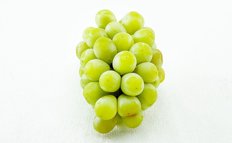 ぶどう 2026年 先行予約 マスカット・オブ・アレキサンドリア 1房 700g以上 化粧箱入り マスカット 岡山県産 国産 フルーツ 果物 ギフト 食後 デザート 上品な香り 果物の女王 さっぱり 爽やか