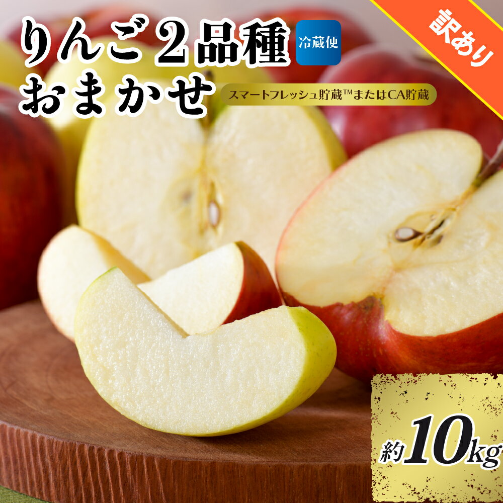 【ふるさと納税】【選べる配送時期】【訳あり】りんご 約10kg 青森産 【おまかせ2品種】【スマートフレッシュ貯蔵またはCA貯蔵・クール便】 フルーツ 果物 青森県 五所川原市