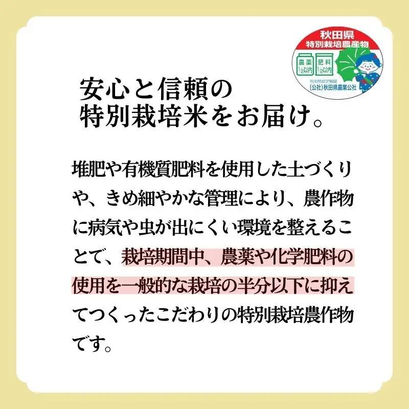 玄米 あきたこまち 5kg 令和7年産 米 こめ お米 おこめ 令和7年 特別栽培米 産地直送 ご飯 ごはん 秋田こまち 秋田 秋田県 能代市 特別栽培