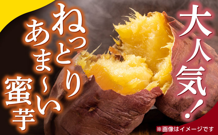 【数量限定】【先行予約】蔵出し 熟成 紅はるか さつまいも 約10kg サイズバラバラ 密 芋 【合同会社 福福堂】 [ZCN019]