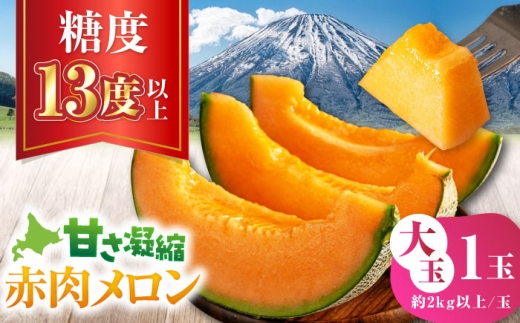 【ニセコ町産】 赤肉メロン 大玉1玉 《喜茂別町》【ニセコビュープラザ直売会協同組合】 メロン 化粧箱入り フルーツ 果物 赤肉 常温 常温配送 北海道 [AJAH028]