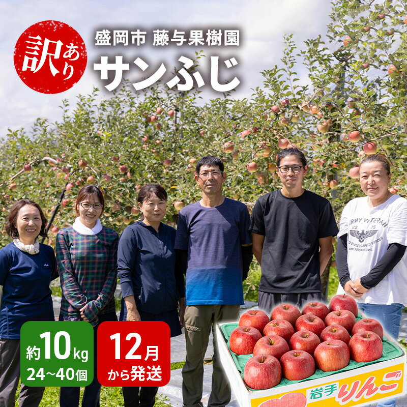 【ふるさと納税】訳あり りんご サンふじ 約 10kg （24～40玉 玉数指定不可） 盛岡から「農で人をつなぐ」藤与果樹園 訳アリ 不揃い 傷 規格外 フルーツ 果物 旬のフルーツ 旬の果物 旬 冬 岩手 盛岡 産地直送 12月から発送　お届け：2025年11月20日～2026年2月28日