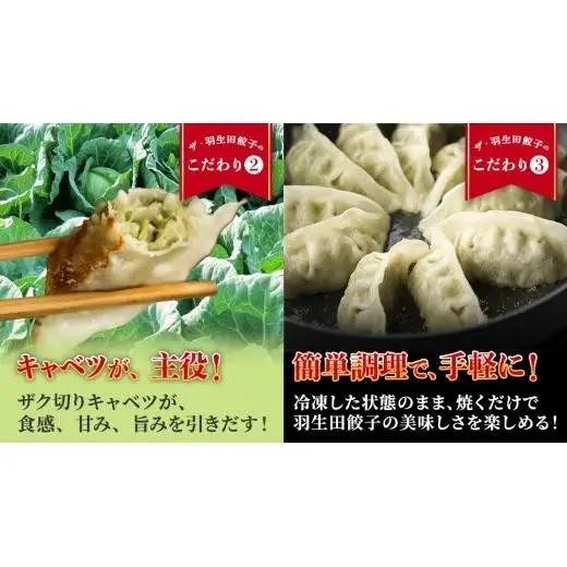まぼろしのキャベツ419使用 ザ・羽生田餃子 15個 × 2パック 合計30個 大容量 [AL001tu]