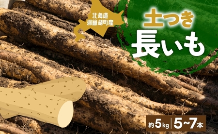 北海道産 青野農園 土つき 長いも 約5kg 5～7本 2026年11月下旬～1月中旬ごろお届け 先行予約 ながいも 土付き 北海道 長芋 自然薯 とろろ いも イモ 旬 野菜 農作物 産地直送 お取