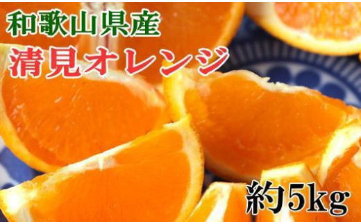 
            和歌山県産清見オレンジ約5kg（サイズ混合）★2026年3月中旬頃より順次発送［TM160］
          