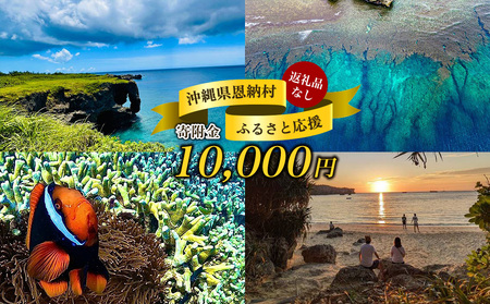 【返礼品なし】沖縄県恩納村ふるさと応援寄附金 10000円 