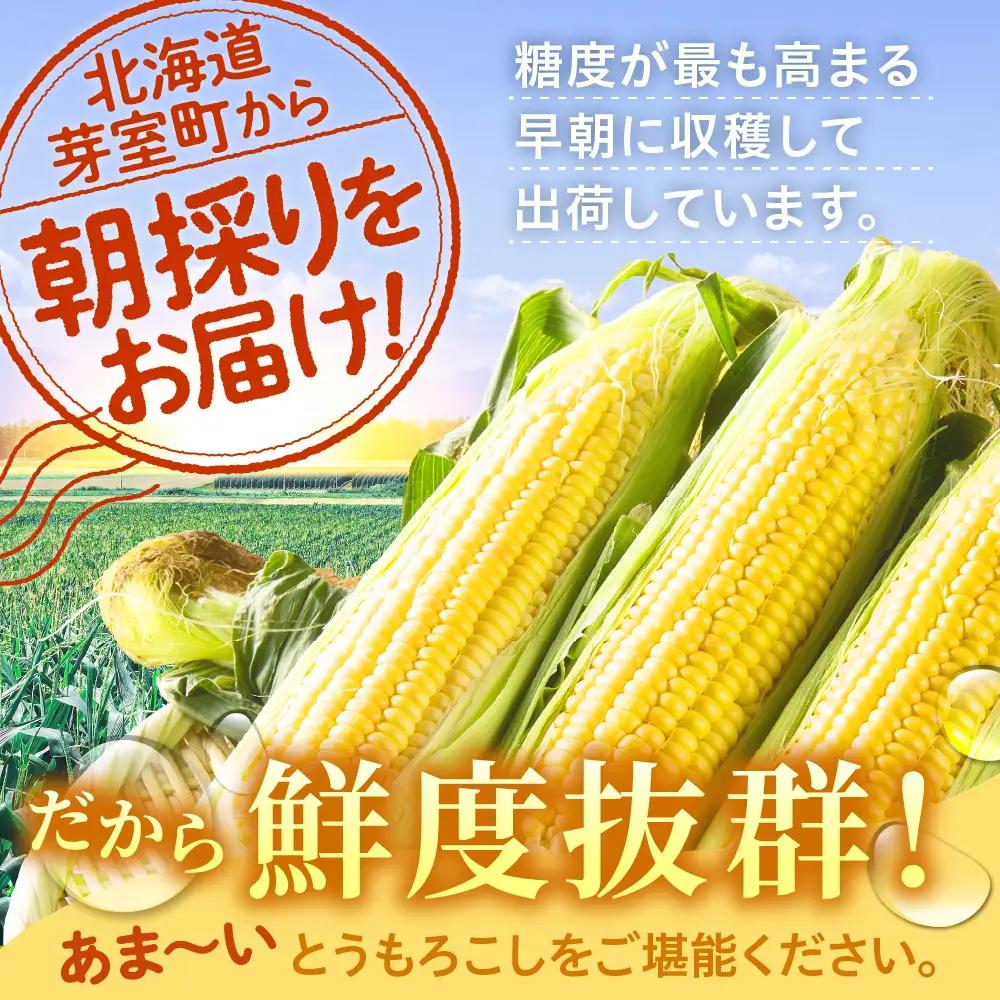 とうもろこし 北海道十勝芽室町 とうもろこし 20本 スイートコーン
