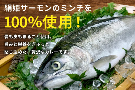 絹姫サーモン奥三河おさかなキーマカレー　6個セット  レトルトカレー カレー 魚カレー -009