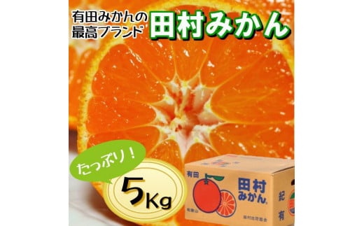 高級みかん秀 田村みかん 約5kg 【2025年11月発送分】【NGT8w】