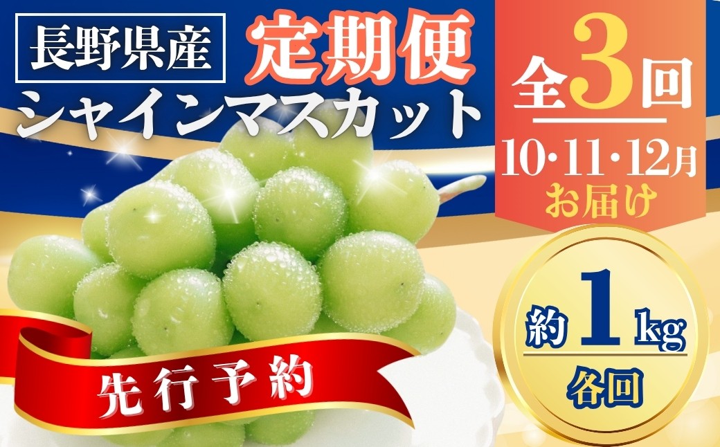 
            【2025年先行予約】【定期便3回】シャインマスカット約1kg×3回(2025年10月/11月/12月発送)｜ 果物 フルーツ 白ぶどう 葡萄 ブドウ 種無し 種なし 皮ごと 千曲市 長野県 信州
          