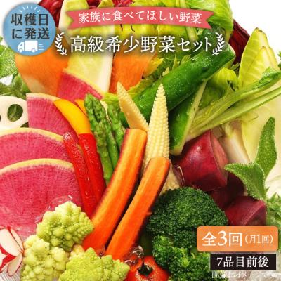 ふるさと納税 糸島市 【全3回定期便】農薬化学肥料不使用 こだわり野菜セット オーガニックナガミツファーム[AGE016]