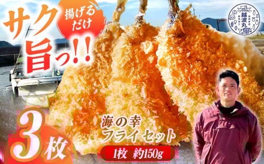 海の幸 フライ セット 3枚｜ 魚 魚介 加工 加工品 フライ 料理 調理 冷凍 冷凍食品 惣菜 海 幸 山口県 山口 平生町
