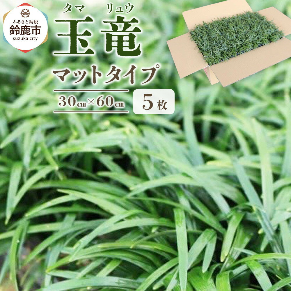 【ふるさと納税】三重県鈴鹿市産 玉竜（タマリュウ）マットタイプ5枚