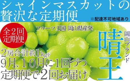 ぶどう 2026年 先行予約 9月・10月発送 シャイン マスカット 晴王 2房（合計約1kg）×2回 ブドウ 葡萄  岡山県産 国産 フルーツ 果物 ギフト