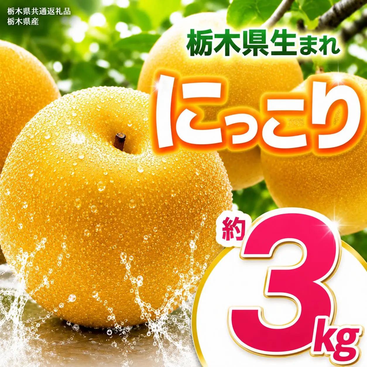 【2027年先行予約】にっこり 約3kg |【栃木県共通返礼品】にっこり 梨 なし ナシ 新品種 先行予約 大粒 新鮮 甘い 美味しい 果物 くだもの フルーツ ふるーつ 共通返礼品 フルーツ デザート 栃木県 那珂川町