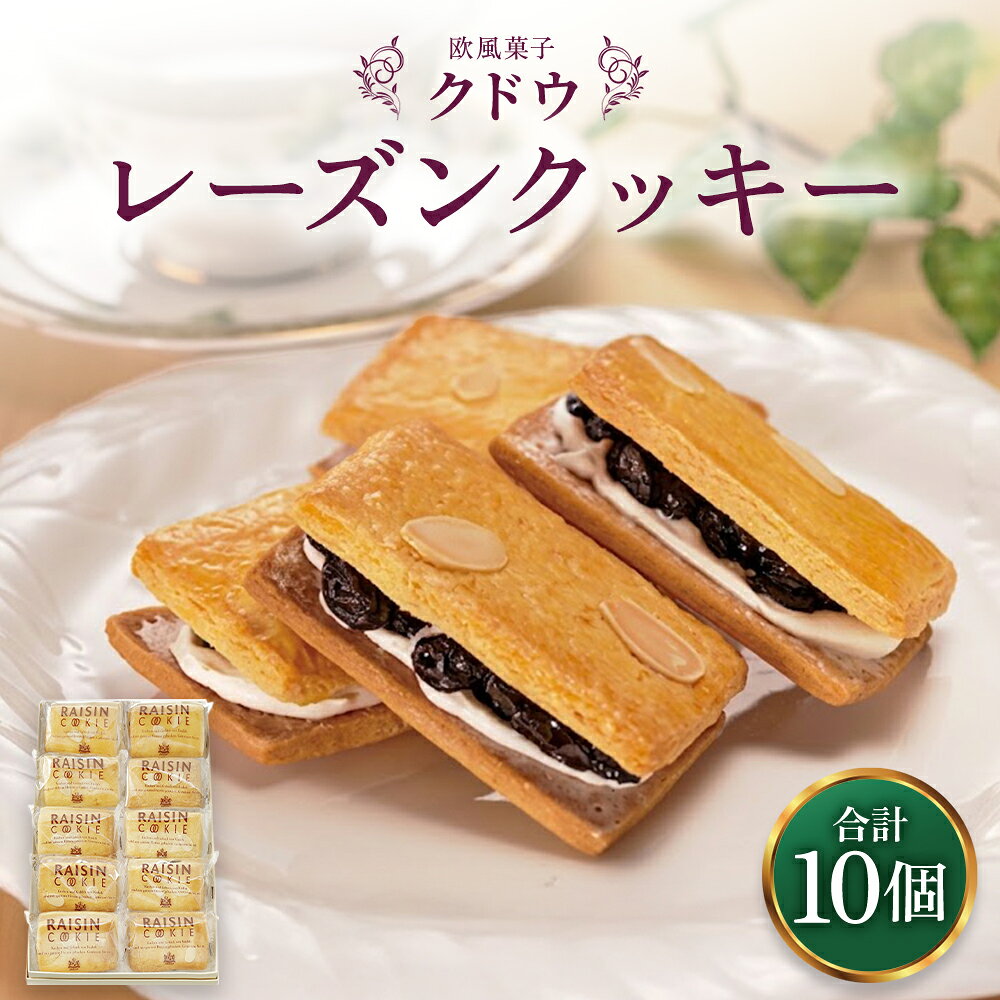 【ふるさと納税】 レーズンクッキー10個入り 14000円 1万4000円 クッキー 焼菓子 スイーツ お菓子 レーズン レーズンサンド 洋菓子 常温 神奈川県 大和市 送料無料