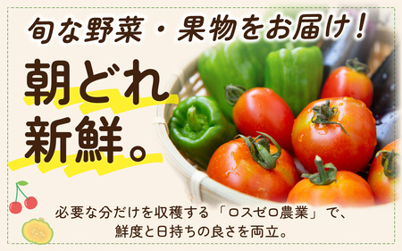 朝どれ 旬な野菜 果物セット９種類セット【お届け対象月 11月】農薬・化学肥料不使用