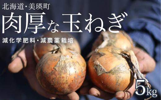 
            【先行予約】 玉ねぎ 5kg  <令和7年産 > 本山農場 北海道 美瑛 たまねぎ 玉葱 野菜 送料無料 玉ネギ タマネギ オニオン 5kg スライス サラダ ハンバーグ 肉じゃが 味噌汁 焼き肉 バーベキュー BBQ スープ 国産 新鮮 [007-21] 
          