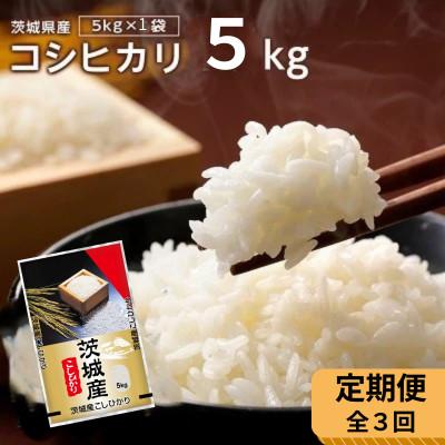 ふるさと納税 稲敷市 【毎月定期便】代表的なお米　茨城県産コシヒカリ5kg全3回