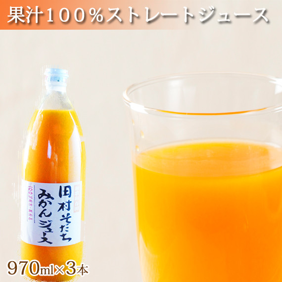 
果汁100%　田村そだちみかんジュース　970ml×3本
