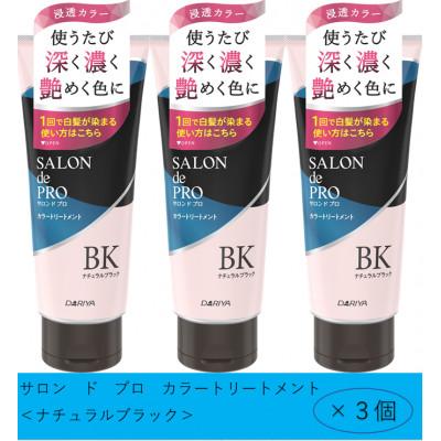 ふるさと納税 稲沢市 ダリヤ　サロンドプロ　メンズカラーシャンプー&カラートリートメント《ナチュラルブラック》各3個セット |  | 01